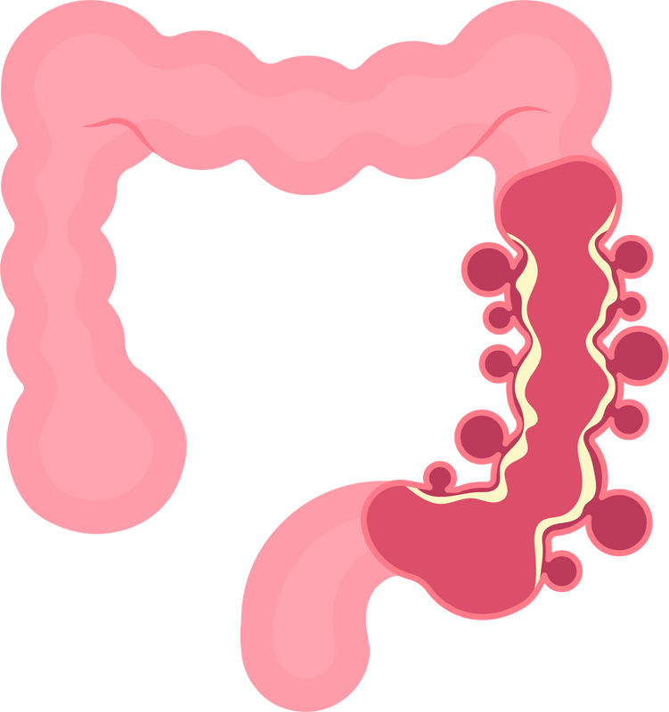 Sociedade Mineira de