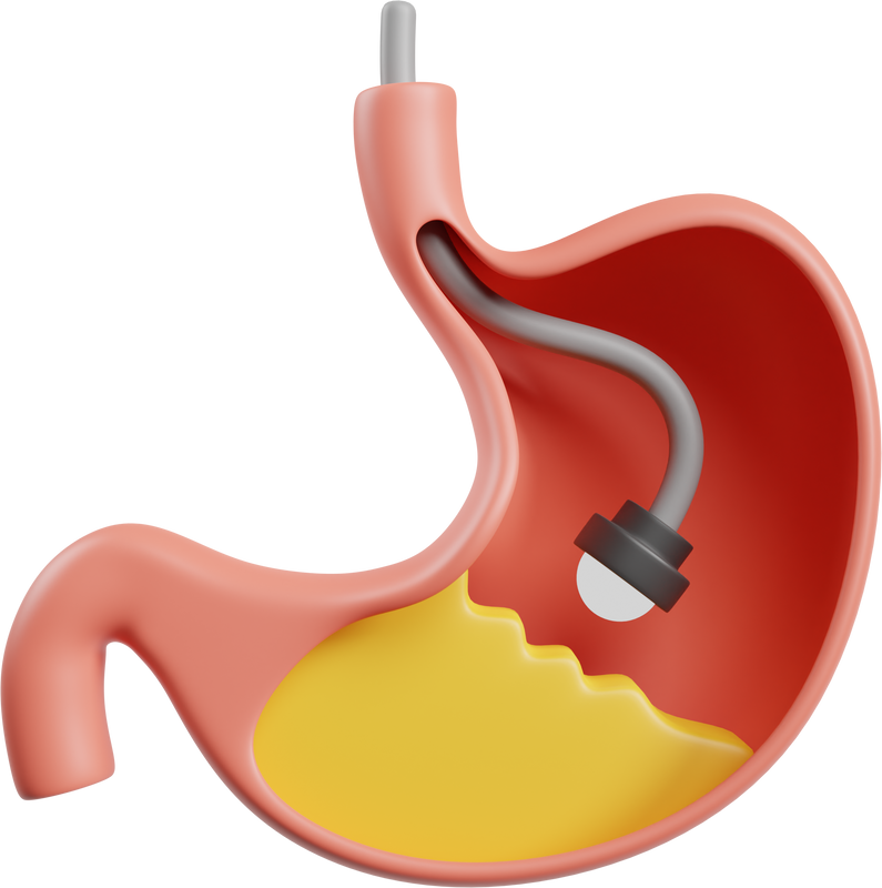 Sociedade Brasileira de